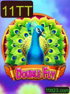Explorando as Aventuras de DoubleFly: Um Mergulho nas Regras e Noções do Jogo