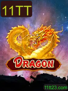 Dragon: Desvendando o Mundo Fascinante de 11TT